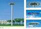 12 side poles painting High Mast Pole including lighting fixture supplier