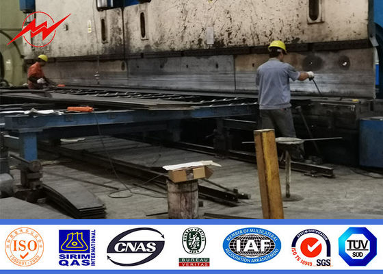 Flange Type Customized 100 Ft Steel Monopole For Communication Distribution